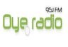 Oye Radio 95.1 FM Basauri